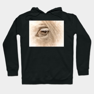 The way to heaven is on horseback. Hoodie